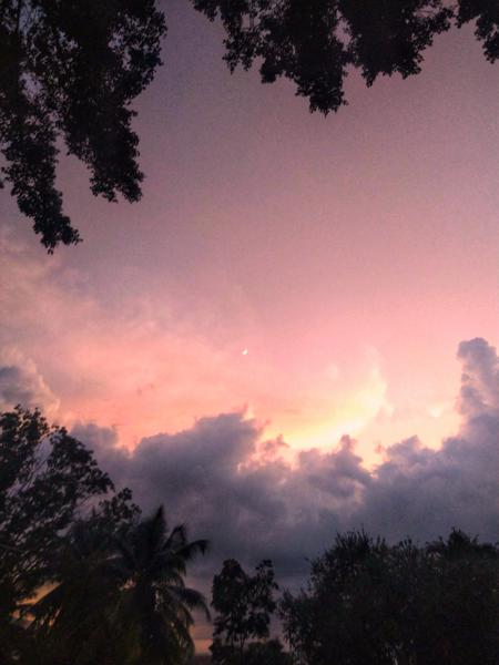 "It is just us and, in the firmament above, the light of a billion billion dying stars."