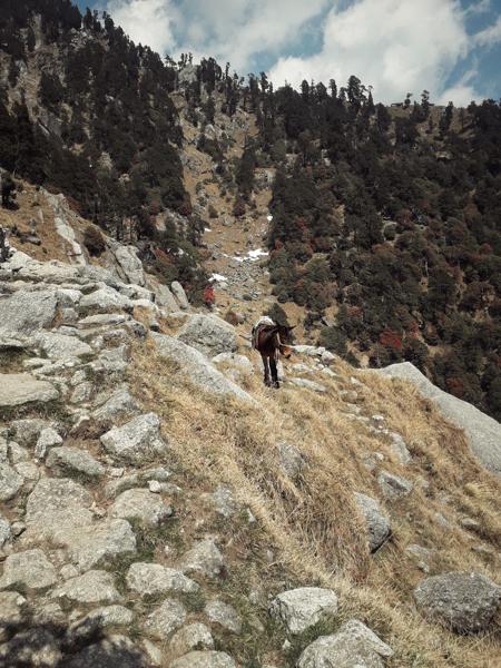 "If this isn't nice, I don't know what is."