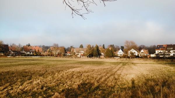 "Beautiful things don't ask for attention."